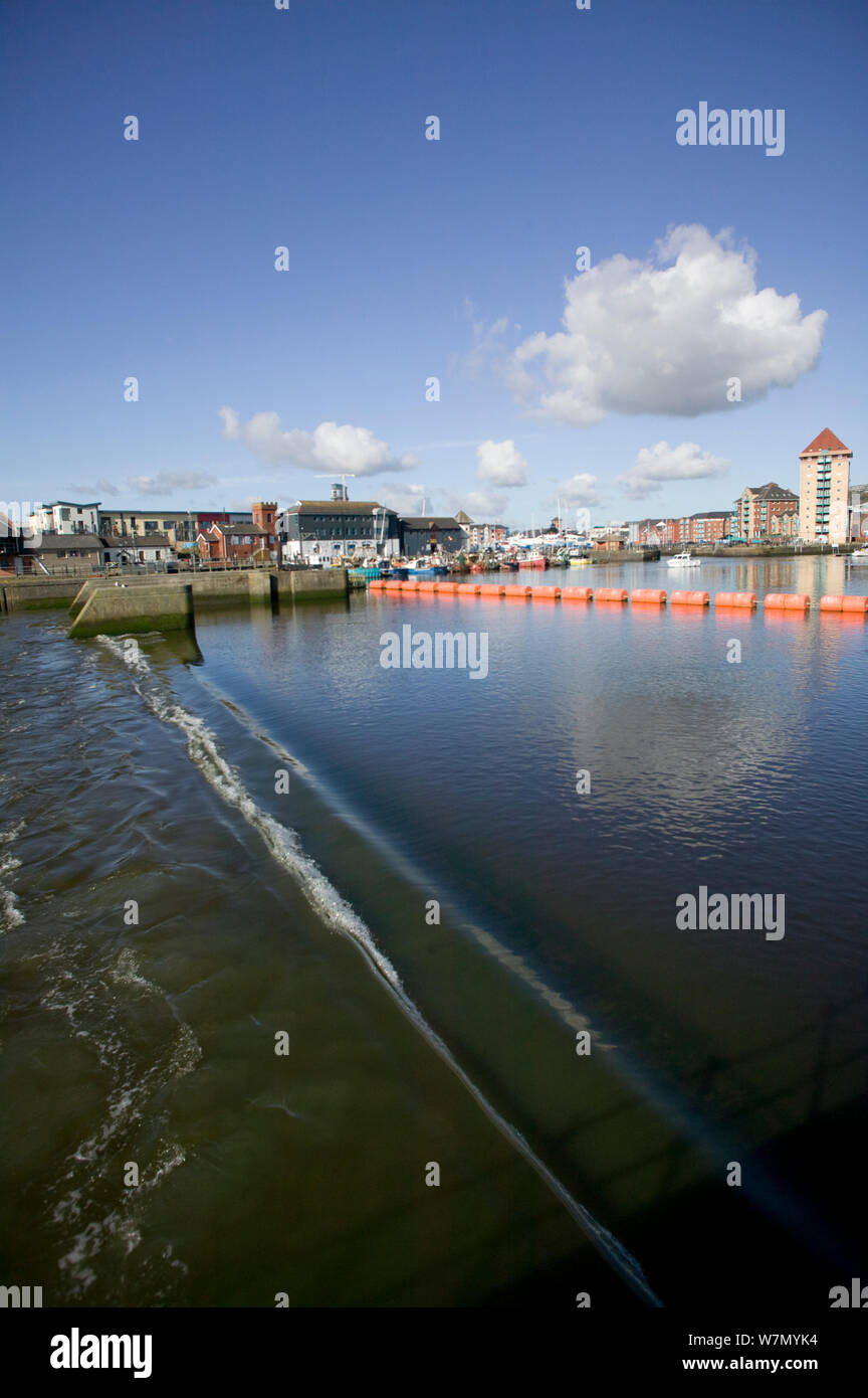 Mareomotrice di generare energia elettrica dal fiume di marea ma modificando il flusso di importanti del salmone e della trota di mare fiume, Swansea, Wales, Regno Unito 2009 Foto Stock