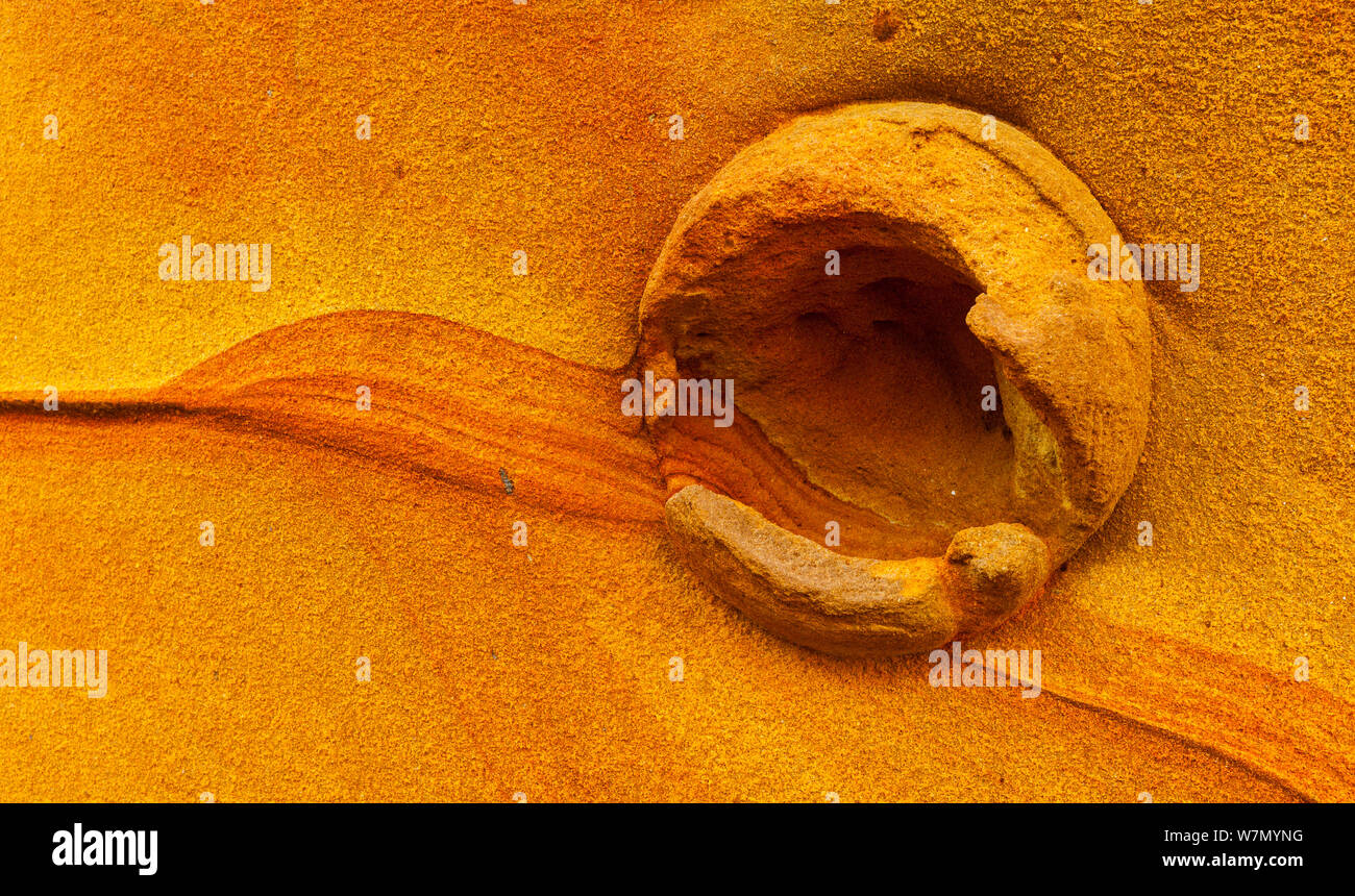 Dettaglio del geologico formazioni di roccia arenaria scogliere di Jaizkibel Beach, Gipuzkoa, Paesi Baschi, Maggio 2012 Foto Stock