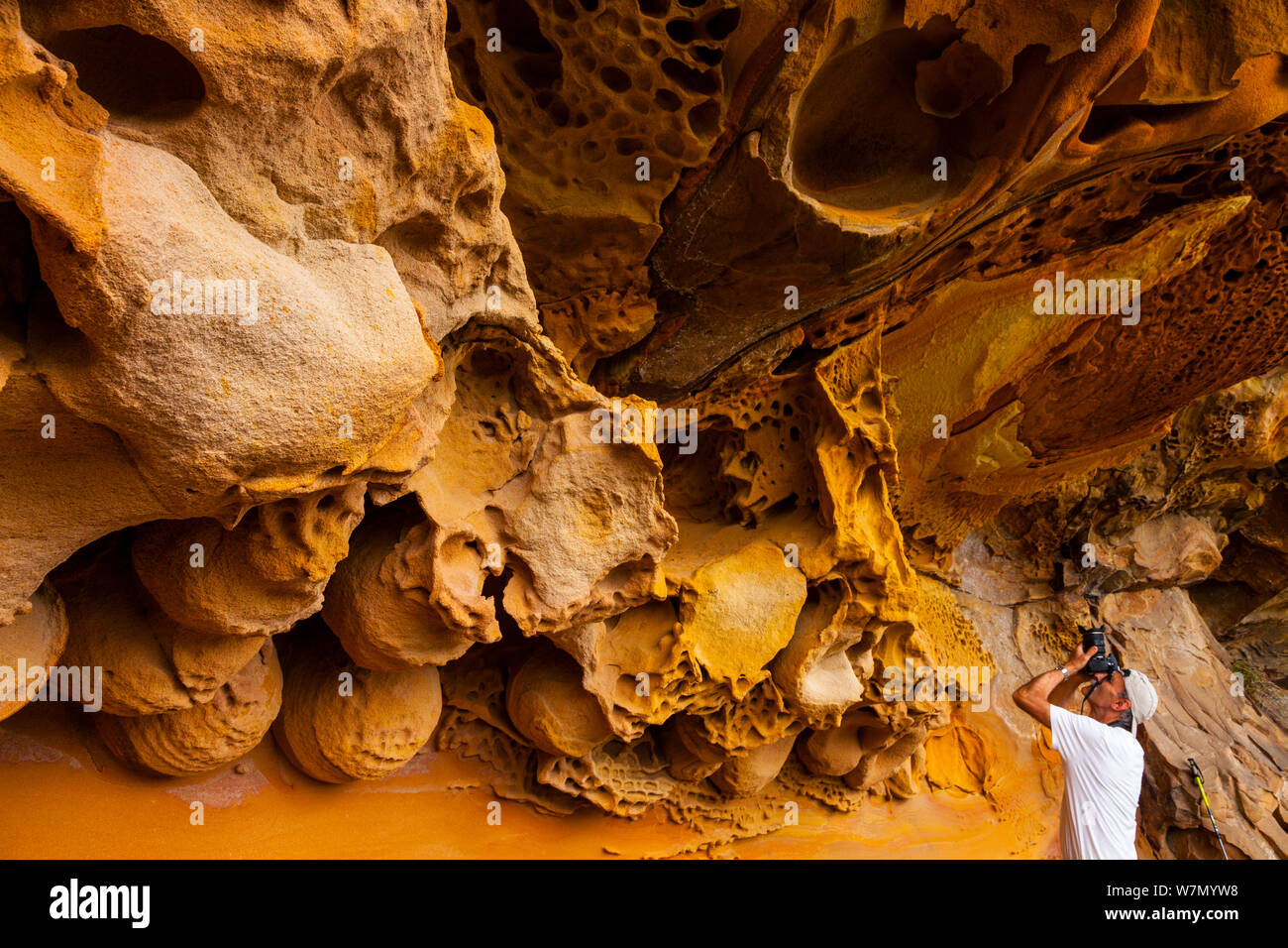Uomo di fotografare dettagli di geologico formazioni di roccia arenaria scogliere di Jaizkibel Beach, Gipuzkoa, Paesi Baschi, Maggio 2012 Foto Stock