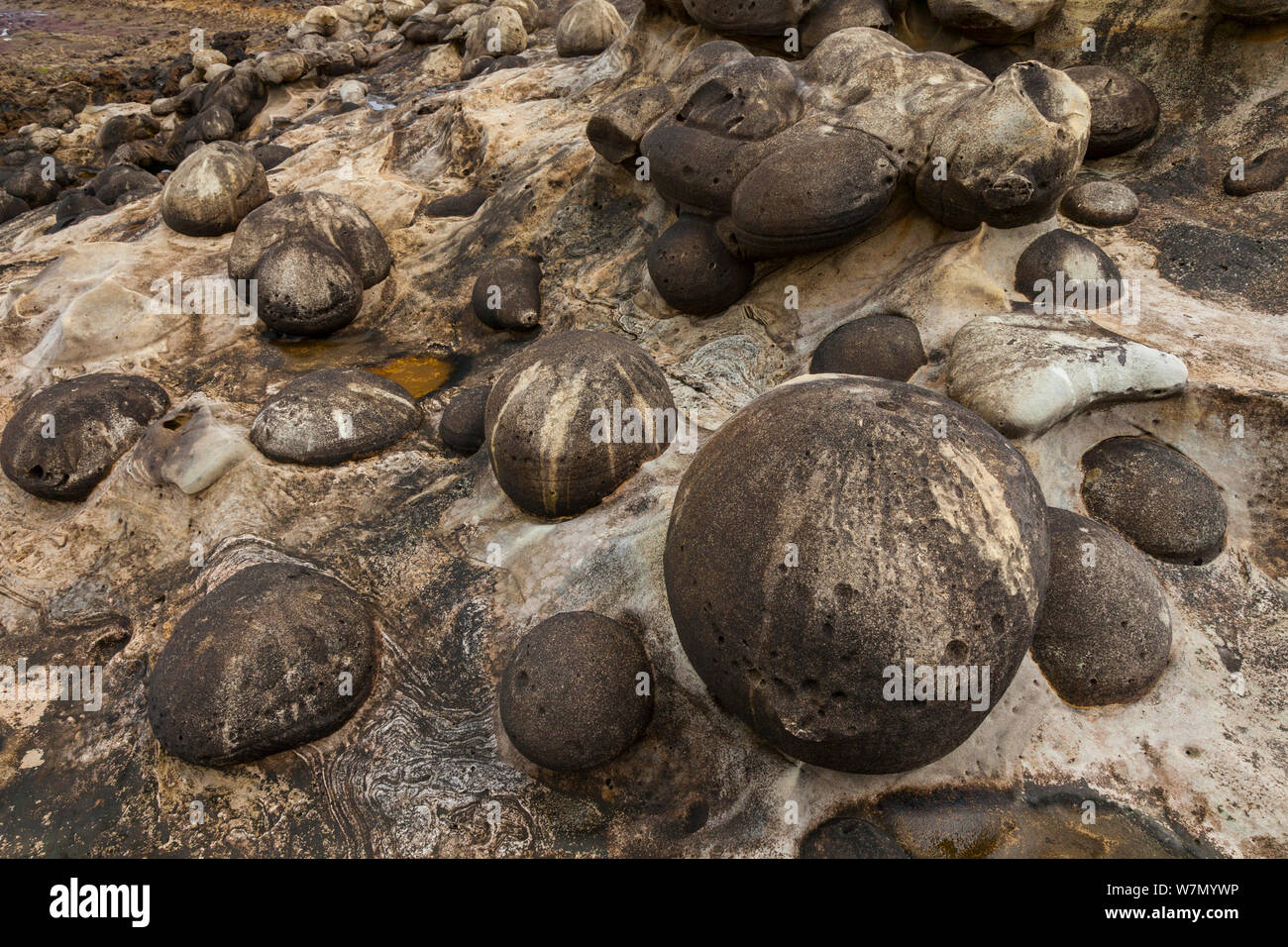 Geologico formazioni di roccia sulla spiaggia Jaizkibel, Gipuzkoa, Paesi Baschi, Maggio 2012 Foto Stock