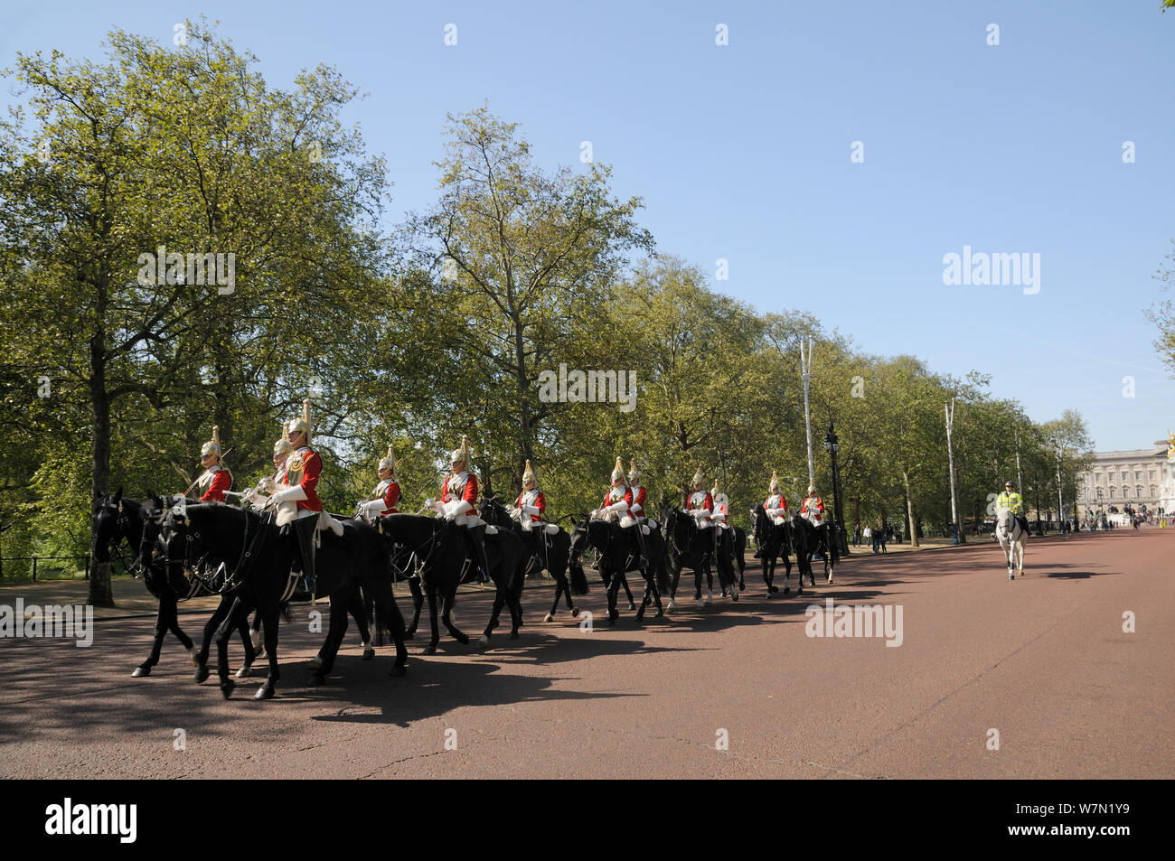 Horse Guards sfilando sul Mall, passato avenue of London platani (Platanus x hispanica), con Buckingham Palace in background, Londra, Regno Unito, maggio. 2012 Foto Stock