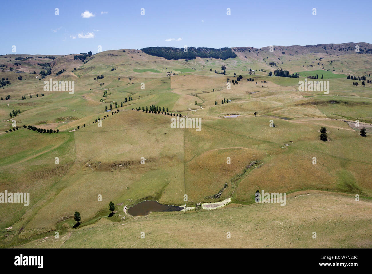 Terreni agricoli di rotolamento con alberi sparsi e fattoria stagni, come visto da un elicottero. Vicino a te Hauke, Hawkes Bay, Isola del nord, Nuova Zelanda. Foto Stock