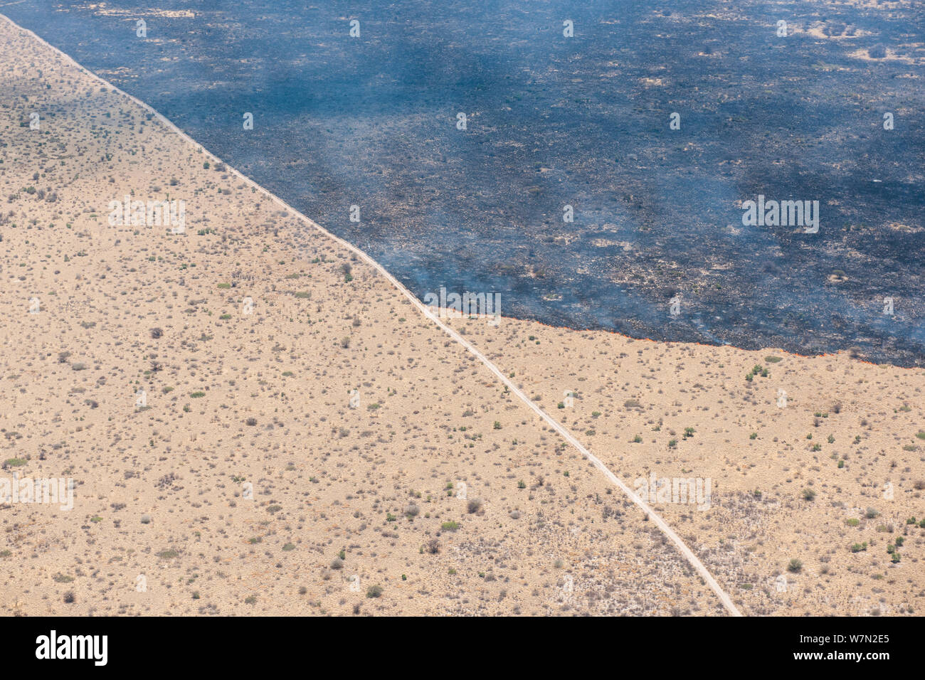 Vista aerea del bushfire nel deserto del Kalahari, mostrando una strada di polvere che agisce come un fuoco pausa, tali incendi sono normalmente accesa da un fulmine all'inizio della stagione delle piogge, Botswana, Novembre Foto Stock
