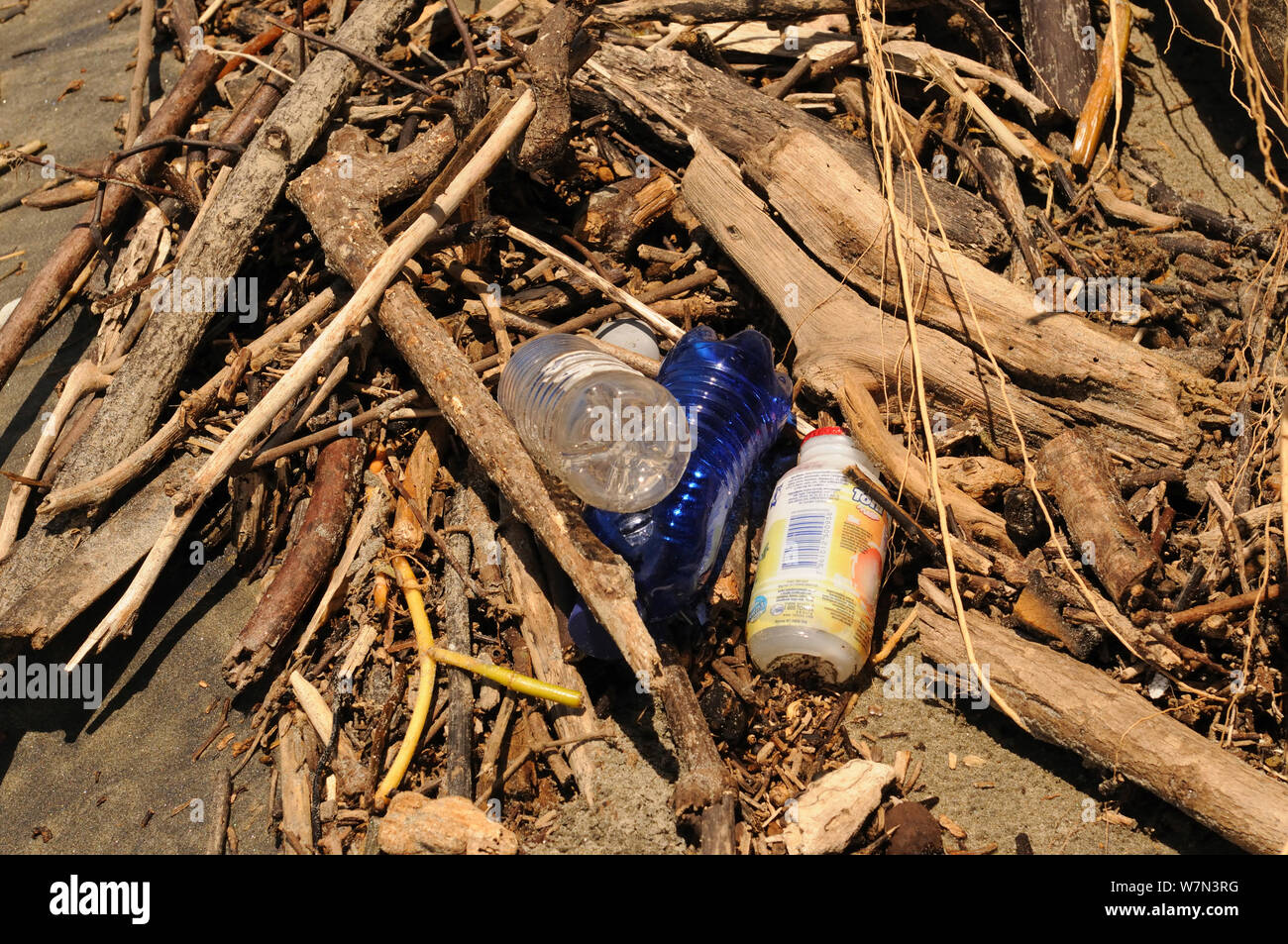 Driftwood e residui di plastica lavati fino sulla spiaggia dopo le inondazioni, Canoa, Ecuador. Foto Stock