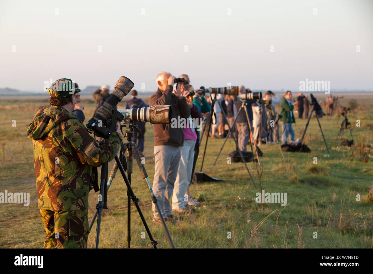 Gli amanti del birdwatching a RSPB Snettisham riserva. L'estuario del lavaggio, Norfolk, ottobre 2011. Foto Stock