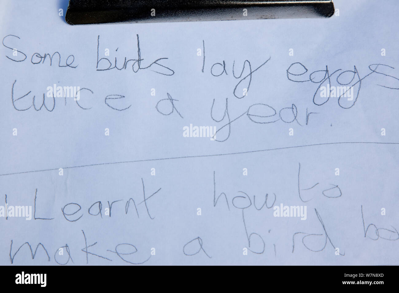 Note scritte di una scuola per bambini imparare circa upland ecologia come parte della flora della Fells giorno. Helvellyn, Parco Nazionale del Distretto dei Laghi, Cumbria, Settembre. Foto Stock