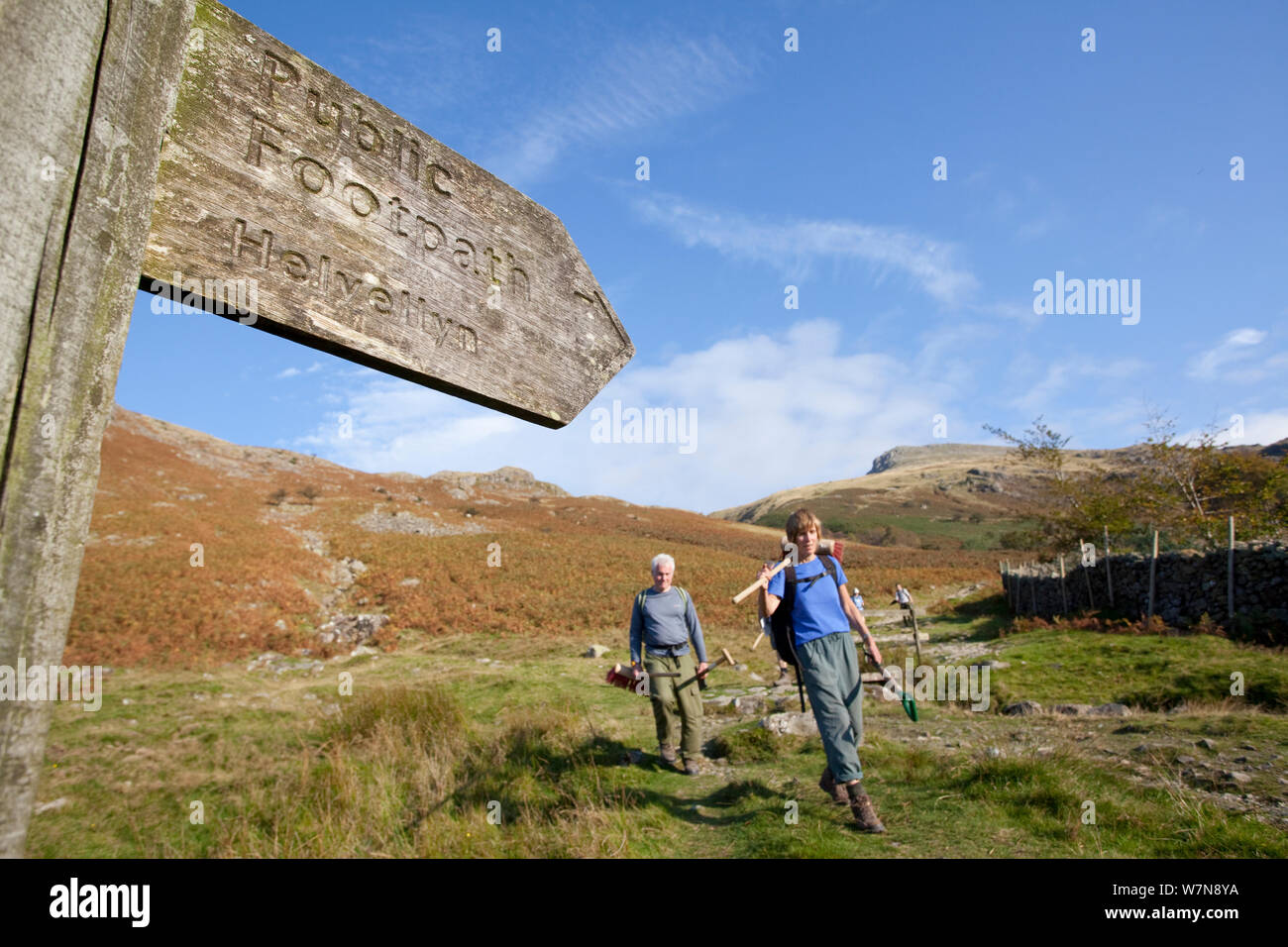 Volontari con strumenti che partecipano nella flora del Fells giorno di conservazione. Helvellyn, Parco Nazionale del Distretto dei Laghi, Cumbria, Settembre. Foto Stock