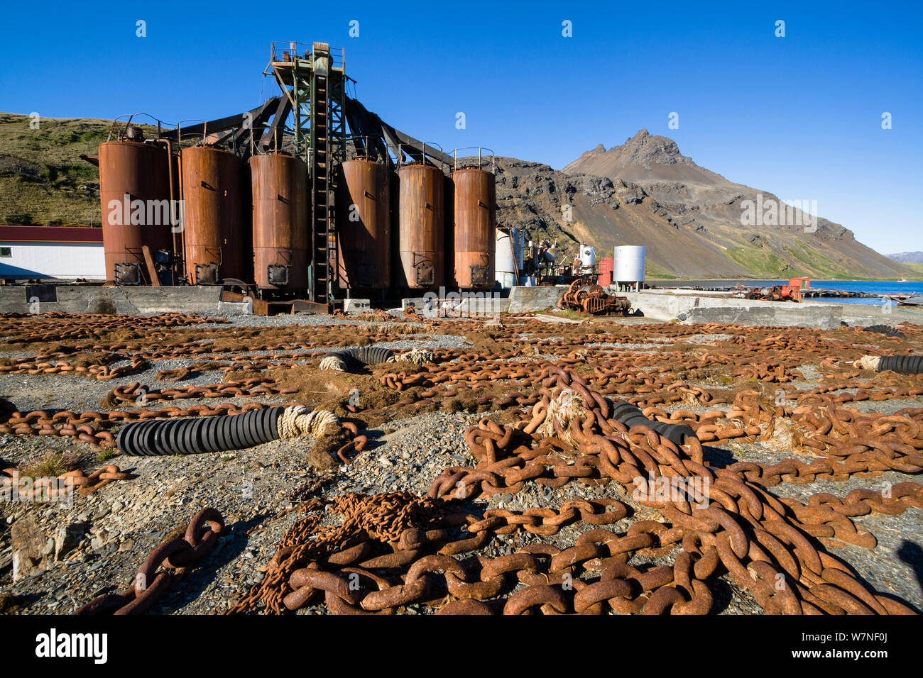 Ex stazione whaler Grytviken, King Edward Cove, Georgia del Sud e isole Sandwich australi sub antartiche, Antartide. Febbraio 2007. Foto Stock