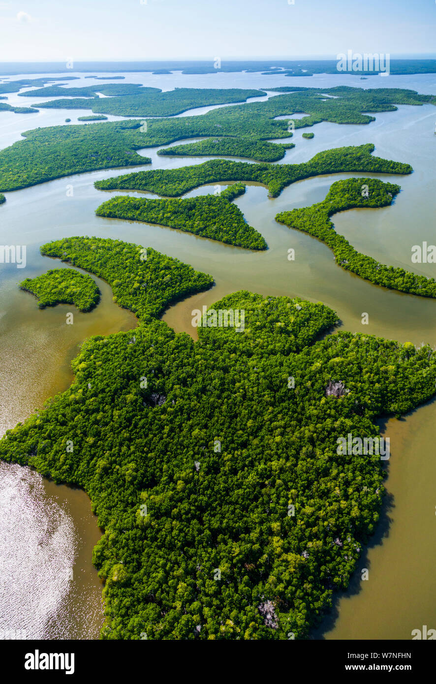 Veduta aerea subtropicale paludi di mangrovie del Parco nazionale delle Everglades. Florida, Stati Uniti d'America, febbraio 2012. Foto Stock