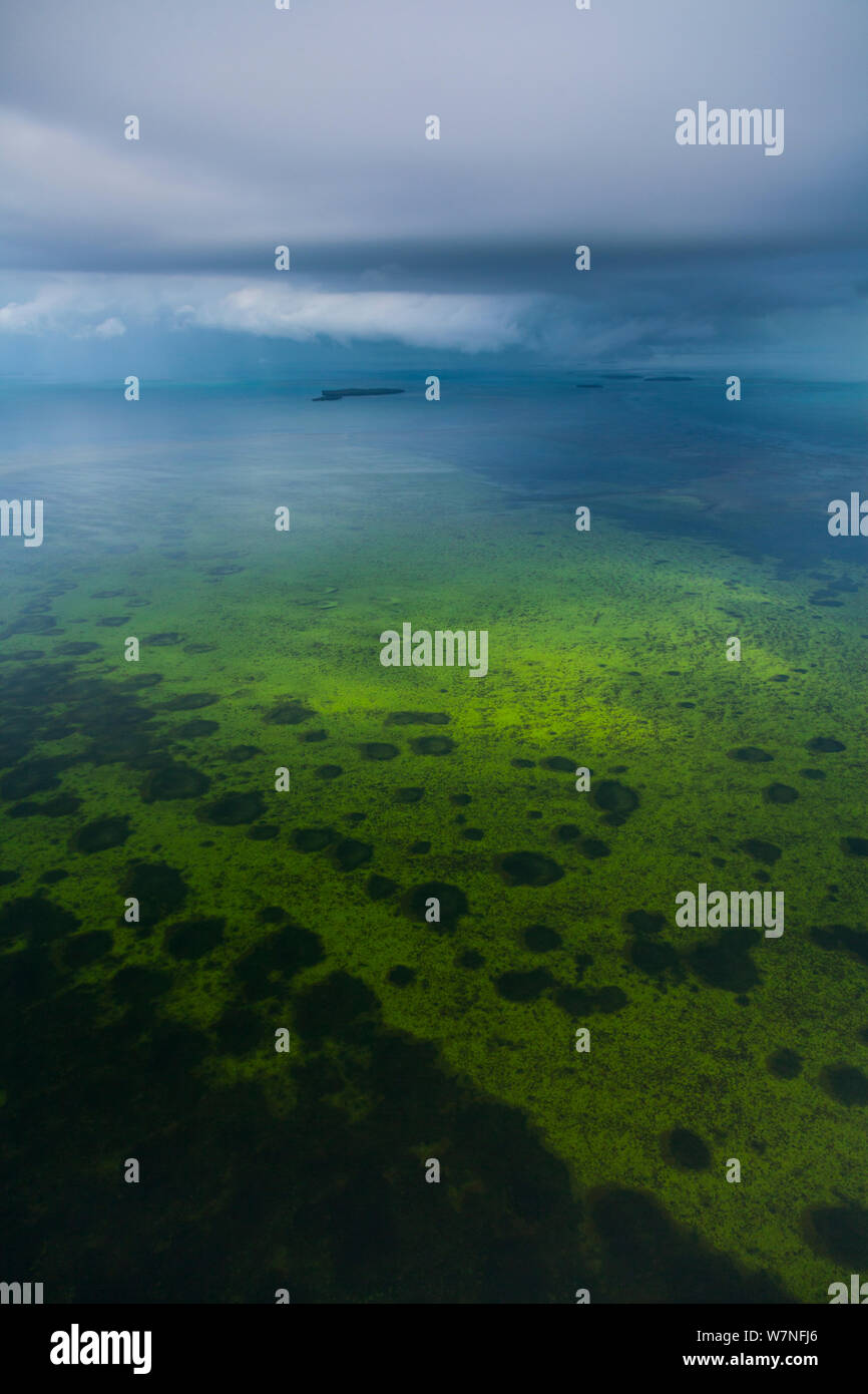 Veduta aerea subtropicale paludi di mangrovie del Parco nazionale delle Everglades. Florida, Stati Uniti d'America, febbraio 2012. Foto Stock