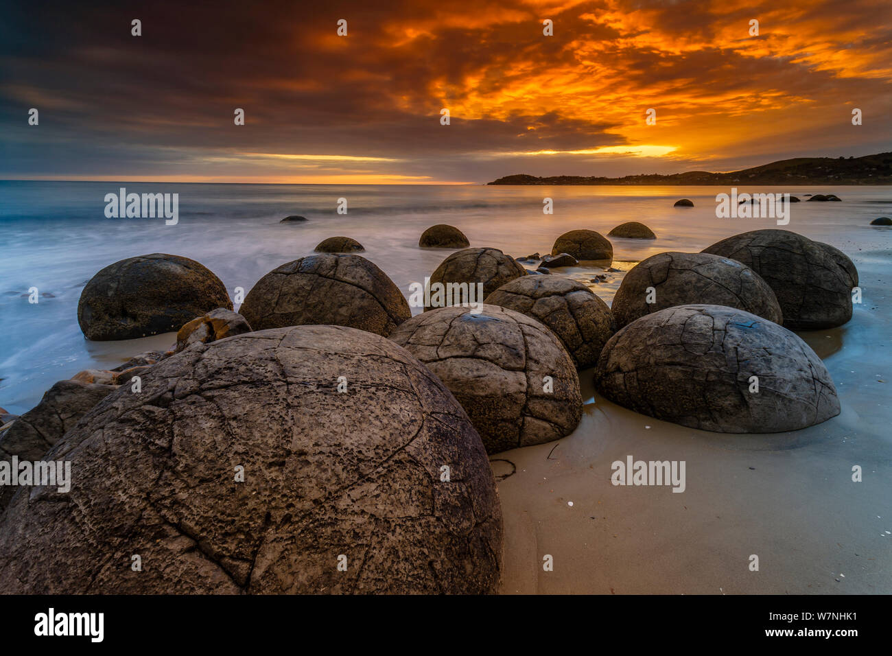 Moeraki Boulder / Kaihinaki Koekohe sulla spiaggia a sunrise. 60 milioni di anni concrezioni mudstone. Moeraki, Waitaki District, Regione di Otago, South Island, in Nuova Zelanda. Gennaio, 2012. Foto Stock