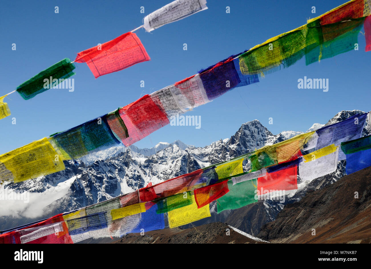 Buddhist Flag Immagini E Fotografie Stock Ad Alta Risoluzione - Foto 5