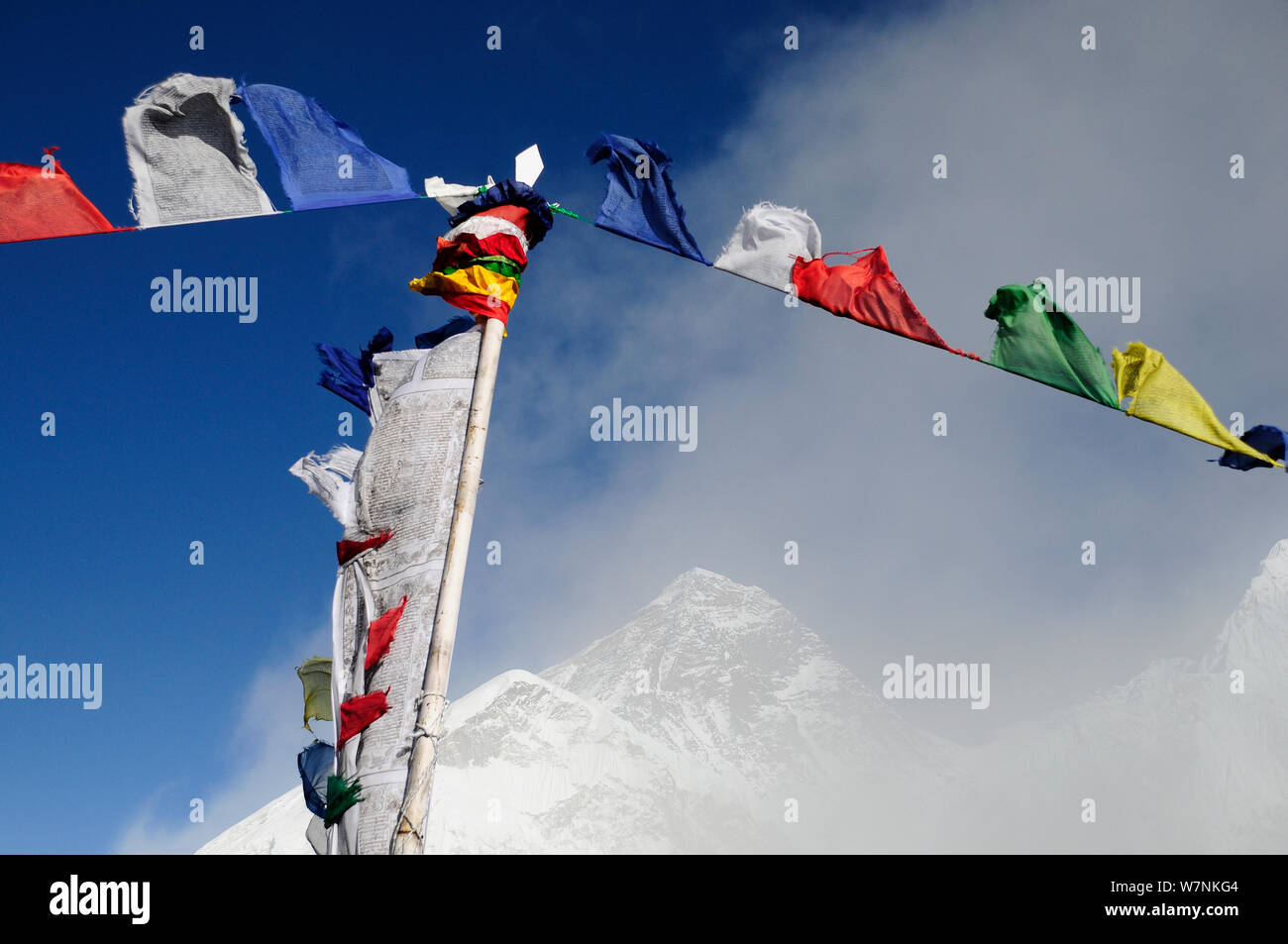 La preghiera buddista bandiere nella parte anteriore del monte Everest è avvolta nella nebbia, dal Kala Pattar (5545 m). Parco Nazionale di Sagarmatha (Patrimonio Mondiale UNESCO). Khumbu / Regione Everest, Nepal, Himalaya, ottobre 2011. Foto Stock