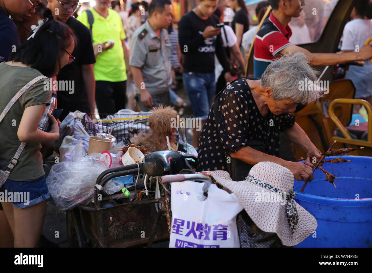 Una donna anziana trae alimento dalla spazzatura per l'alimentazione di cani e gatti al suo triciclo a Xi'an City, Cina nord-occidentale della provincia di Shaanxi, 15 luglio 2017. Un e Foto Stock