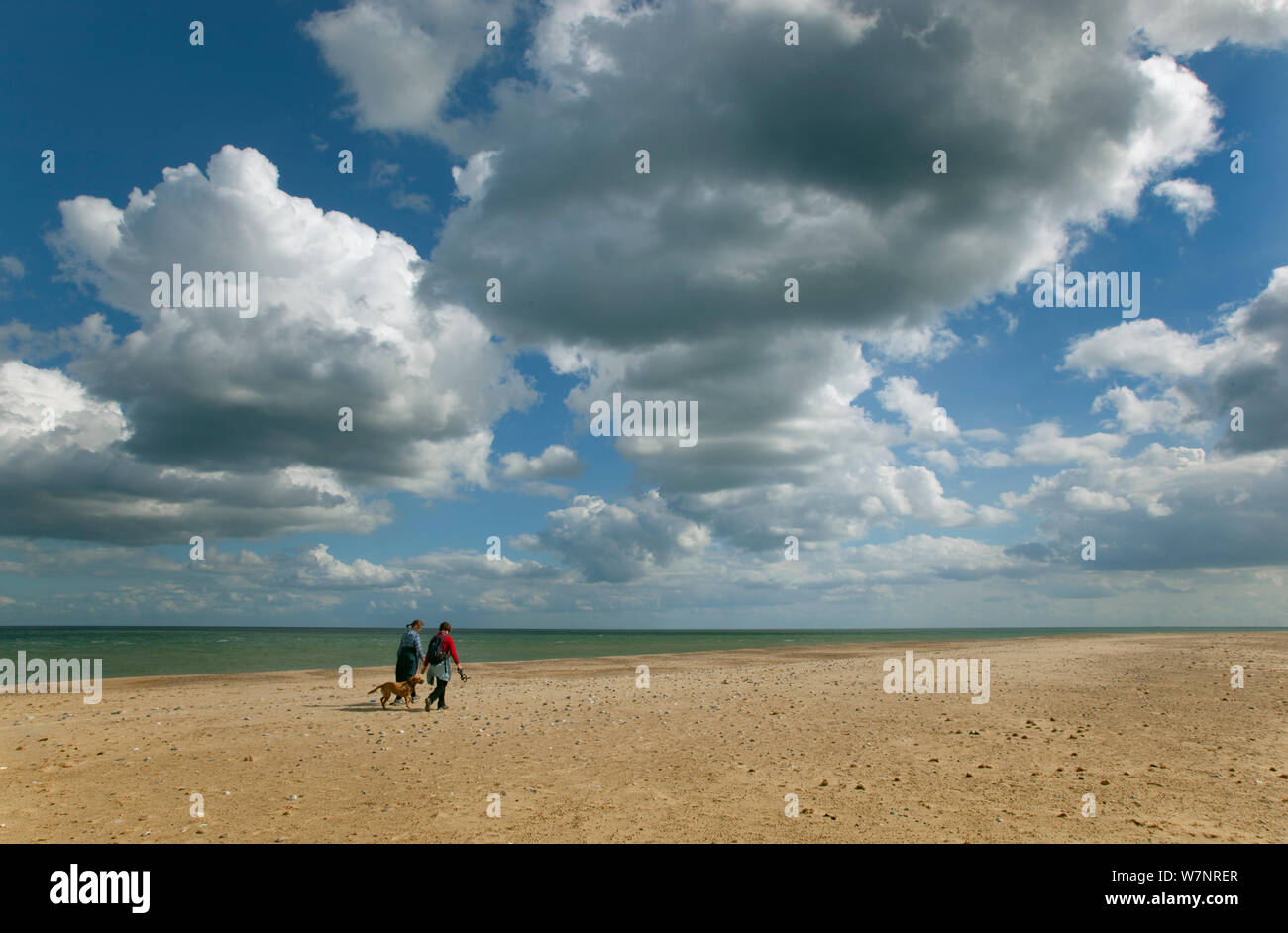 Persone e un cane a camminare lungo la spiaggia di Winterton. Norfolk, Regno Unito, Settembre. Foto Stock