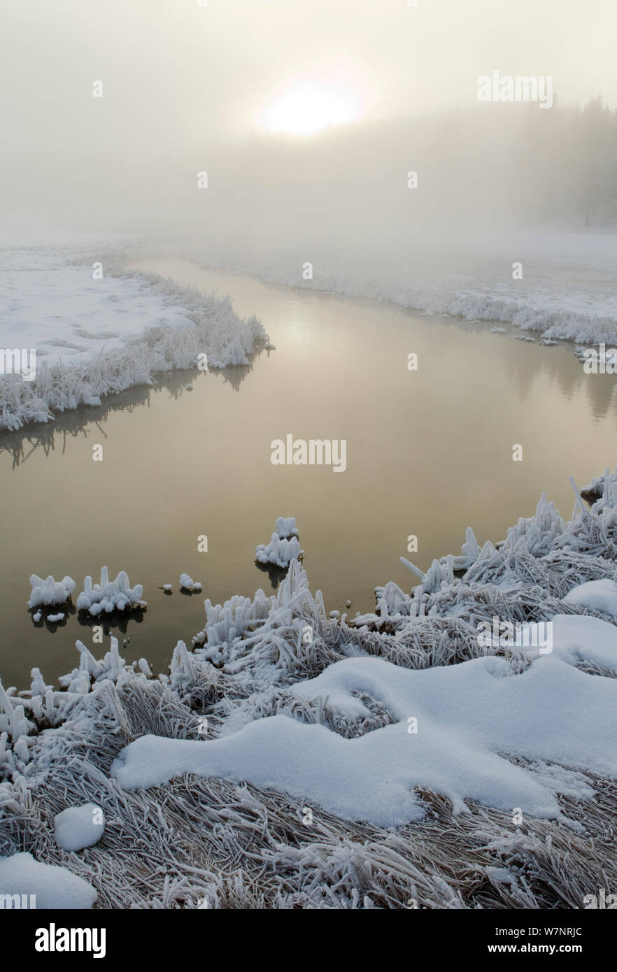 Frosty fiume nella nebbia. Yellowstone, Stati Uniti d'America, febbraio. Foto Stock