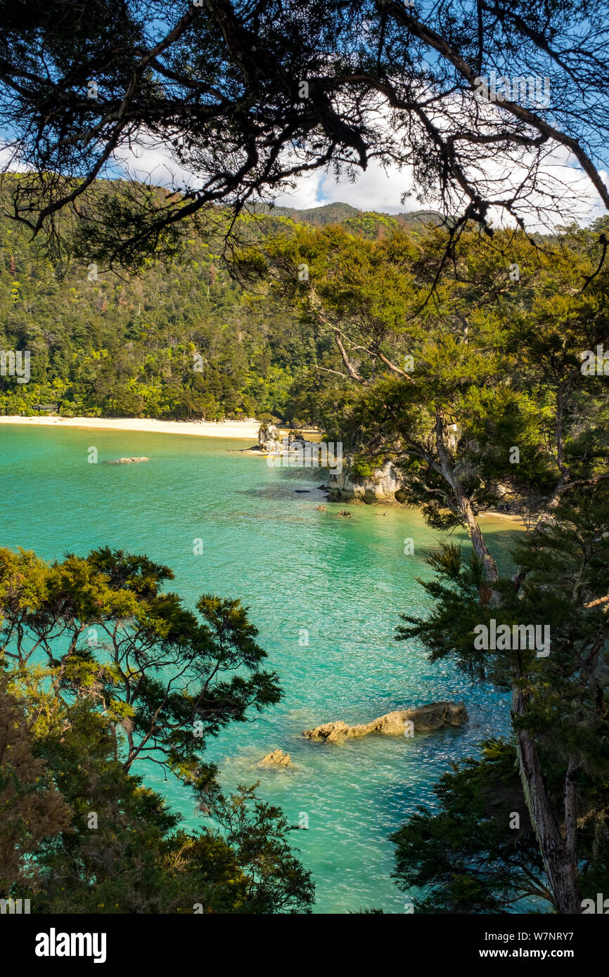 Una vista attraverso gli alberi di una bocca di ingresso e la spiaggia a incredibilmente bella in grado Tasman National Park, Isola del Sud, Nuova Zelanda Foto Stock