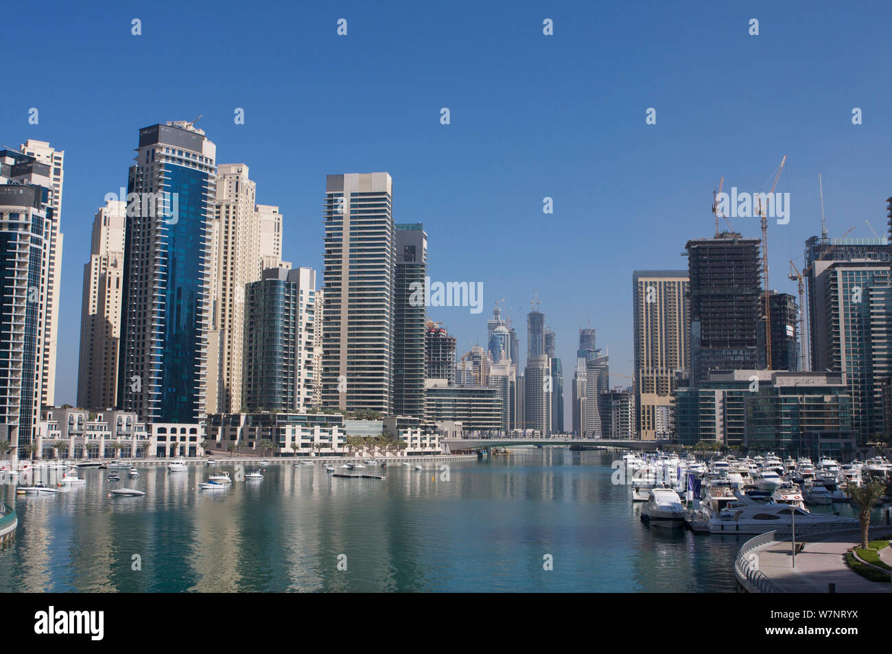 Barche e grattacieli a Dubai Marina, Dubai, UAE, Gennaio 2010 Foto Stock