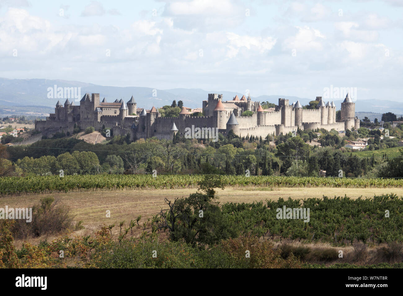 La città medievale di Carcassonne nel dipartimento dell Aude, sud-ovest della Francia, settembre 2010. Foto Stock