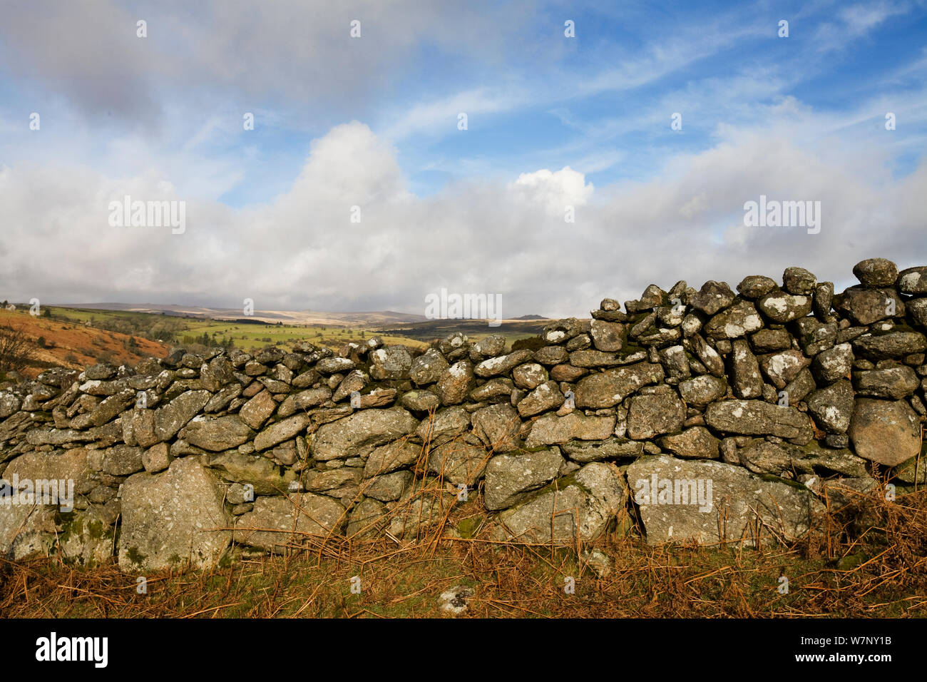 Asciugare la parete in pietra. Hexworthy, Dartmoor. Foto Stock