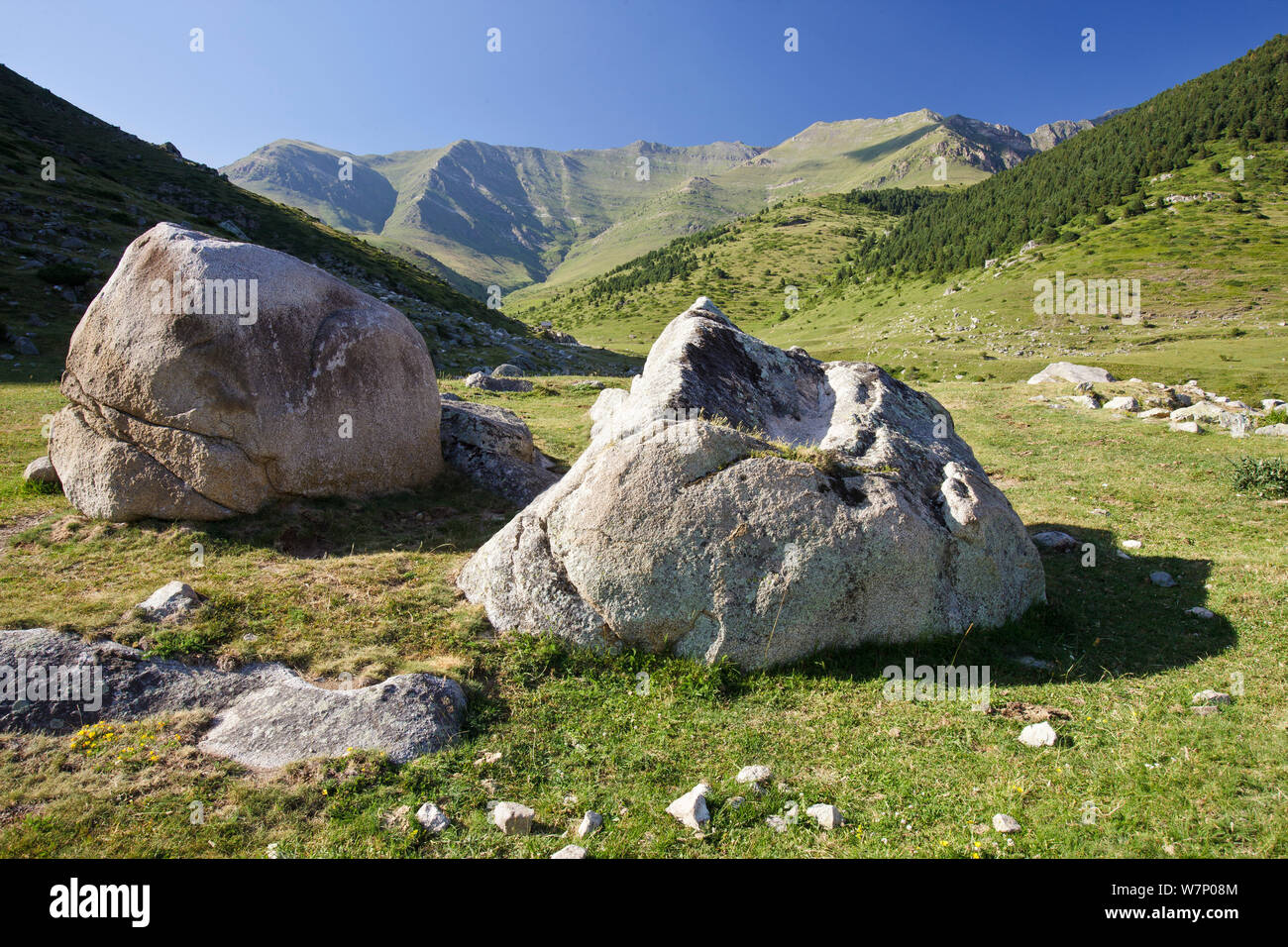 Boi Valley con boschi in background, Pirenei, provincia di Lleida, Spagna, Luglio 2012 Foto Stock