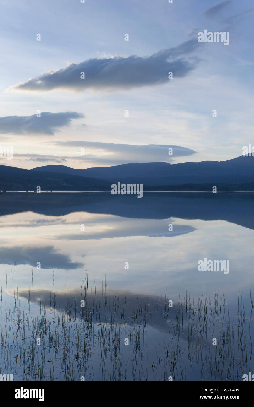 Loch Morlich all'alba, Cairngorms National Park, Scotland, Regno Unito, maggio. Foto Stock