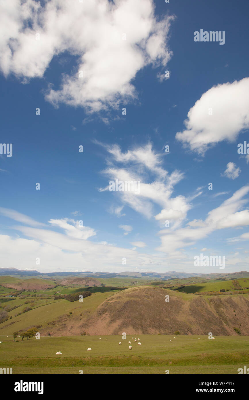 Vista sulla montagna agricola in orizzontale sul bordo della Vita Pumlumon Progetto Paesaggio, Cambrian Mountains, Ceredigion, Wales, Regno Unito, maggio 2012. Foto Stock