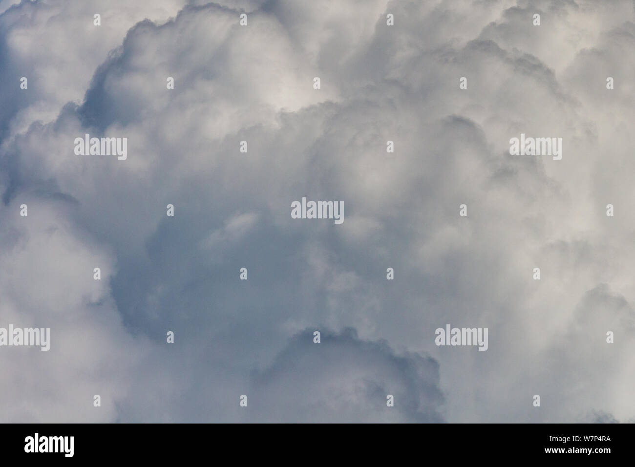 Primo piano strutturato grigio cumulus cloud Foto Stock