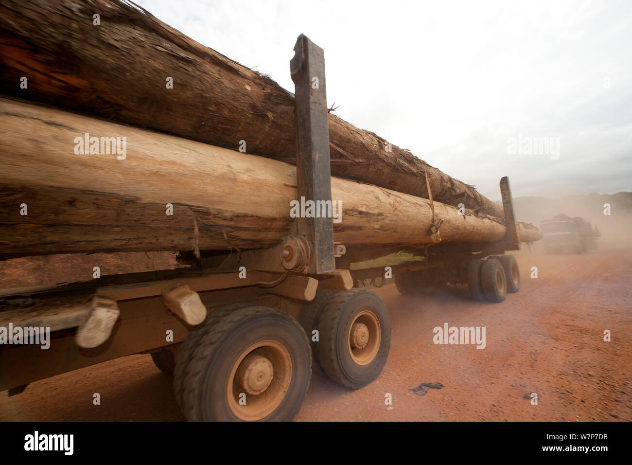 I carrelli utilizzati per su larga scala di legno di latifoglie estrazione con tronchi di legno duro di essere prelevati dal deposito di legname situato all'interno del Lope National Park. In poi la spedizione via mare avviene da Libreville, Gabon. 2009 Foto Stock