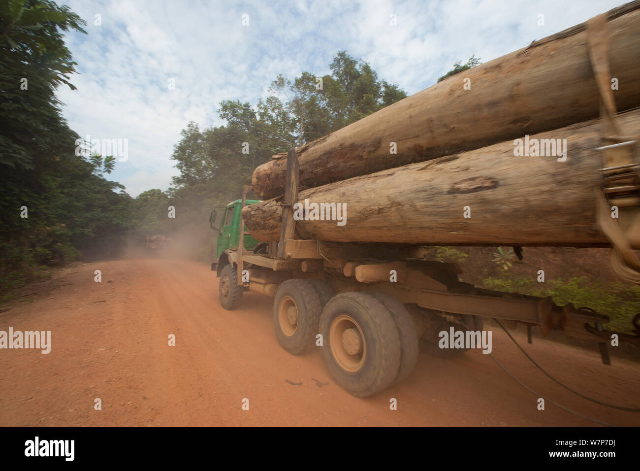 I carrelli utilizzati per su larga scala di legno di latifoglie estrazione con tronchi di legno duro di essere prelevati dal deposito di legname situato all'interno del Lope National Park. In poi la spedizione via mare avviene da Libreville, Gabon. 2009 Foto Stock