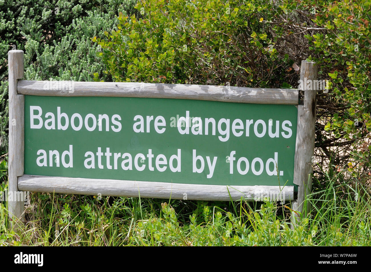 Babbuino segno di avvertimento. Cape Point. Table Mountain National Park, Cape Town, Sud Africa, Ottobre Foto Stock