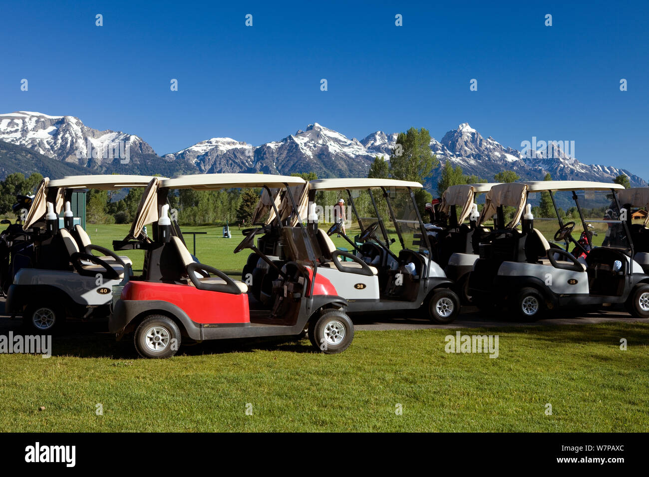 Golf carts, Jackson Hole Golf & Tennis Club, con i Teton mountain range in background, Wyoming usa, Luglio 2011 Foto Stock