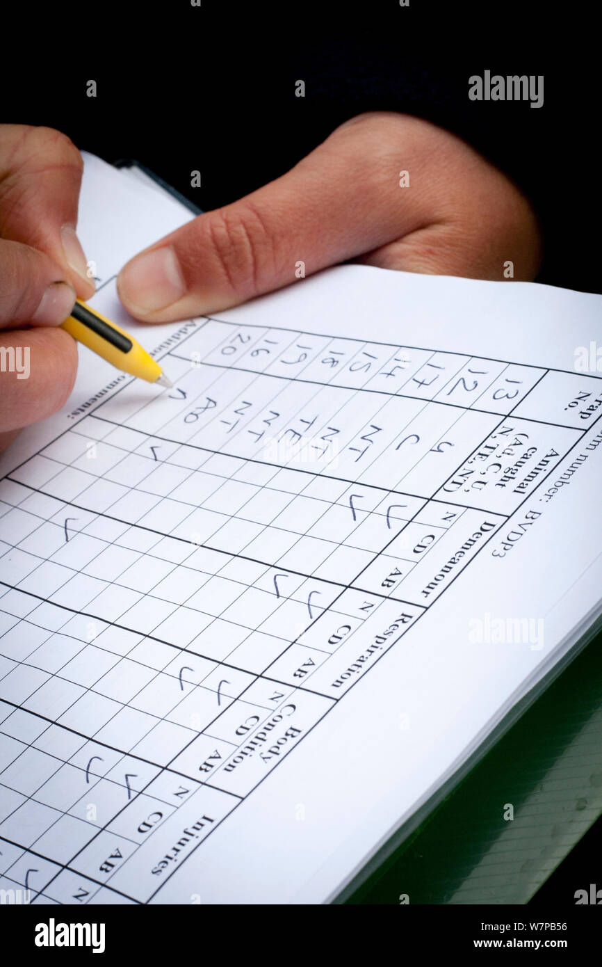 Tasso (Meles meles) tubercolosi bovina note di vaccinazione. I dettagli sono tenuti di tutte le trappole che sono stati attivati e la sanità di base controlli sono noti di tutti badgers vaccinati. Cheshire / confine Shropshire, Regno Unito, settembre 2012. Foto Stock