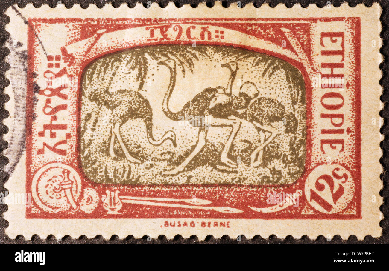 Gli struzzi su vecchi francobolli dell Etiopia Foto Stock