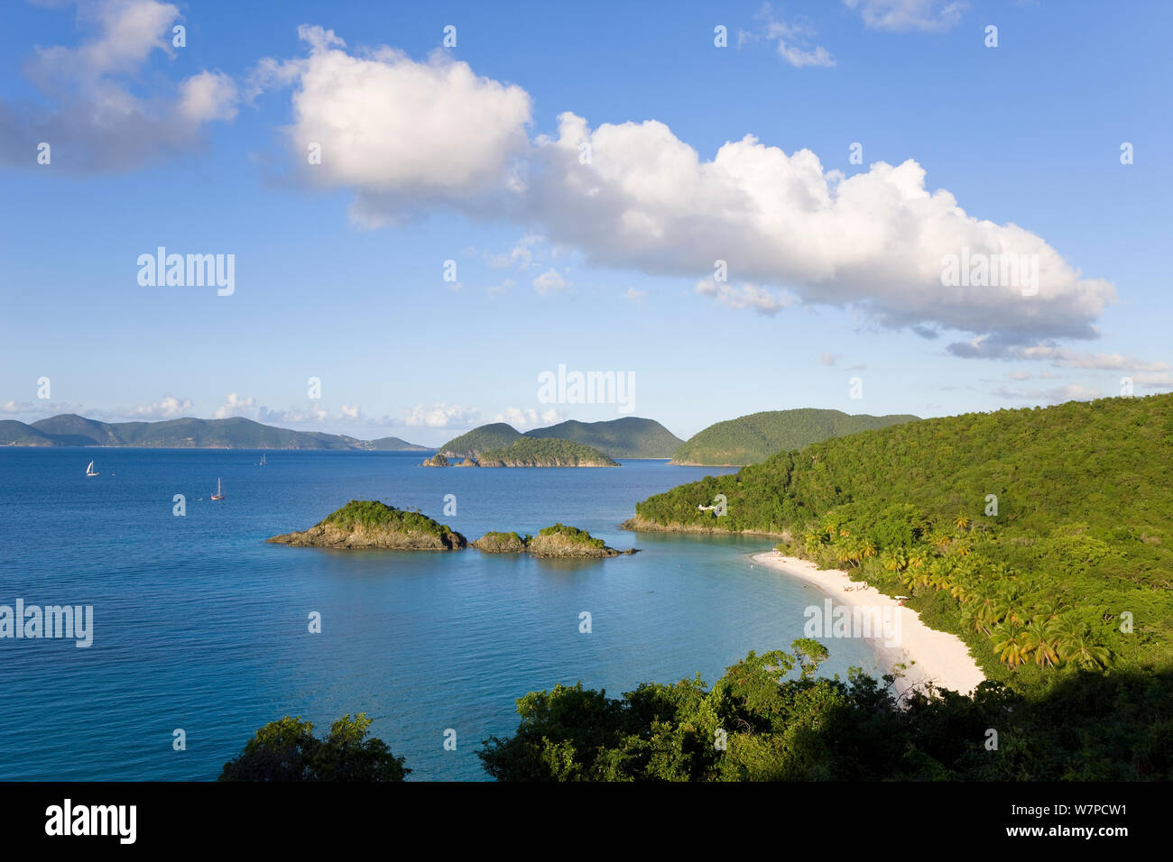 Vista in elevazione sopra la spiaggia famosa in tutto il mondo a Trunk Bay, San Giovanni, Isole Vergini americane, Isole Sottovento, Piccole Antille, Caraibi, West Indies 2008 Foto Stock