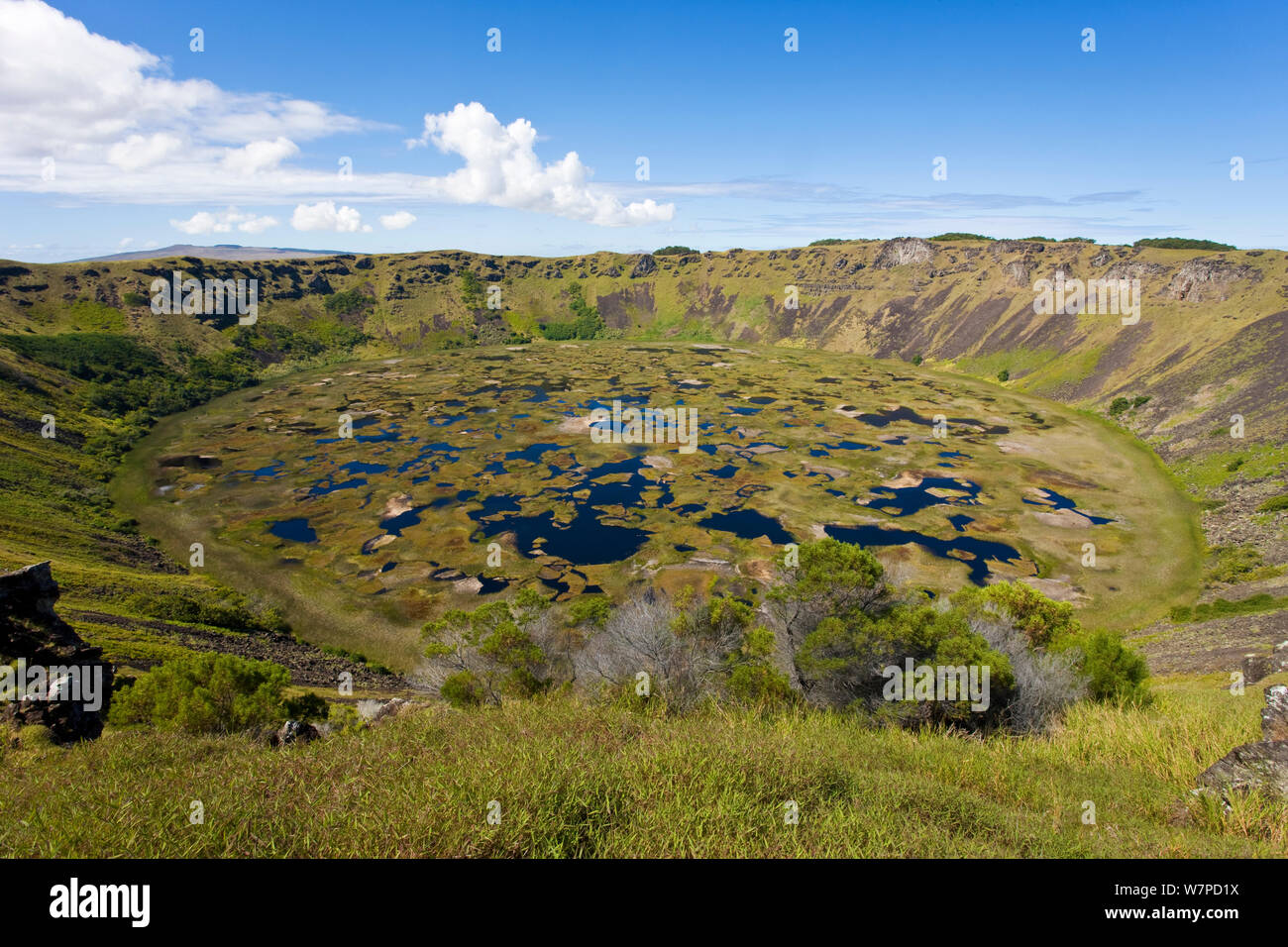 Vista dal cerchio nel cratere di Ranu Kau, Isla de Pascua / Isola di Pasqua, Rapa Nui, Cile, 2008 Foto Stock