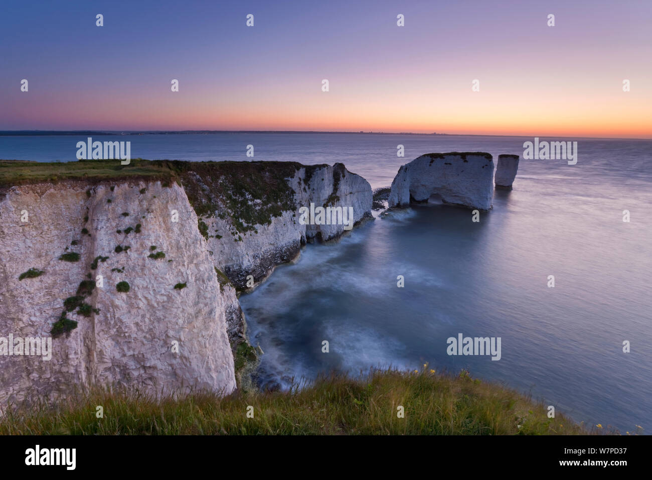 Old Harry Rocks all'alba, la Foreland o punto di Handfast, Studland, Isle of Purbeck, Dorset, Regno Unito 2009 Foto Stock