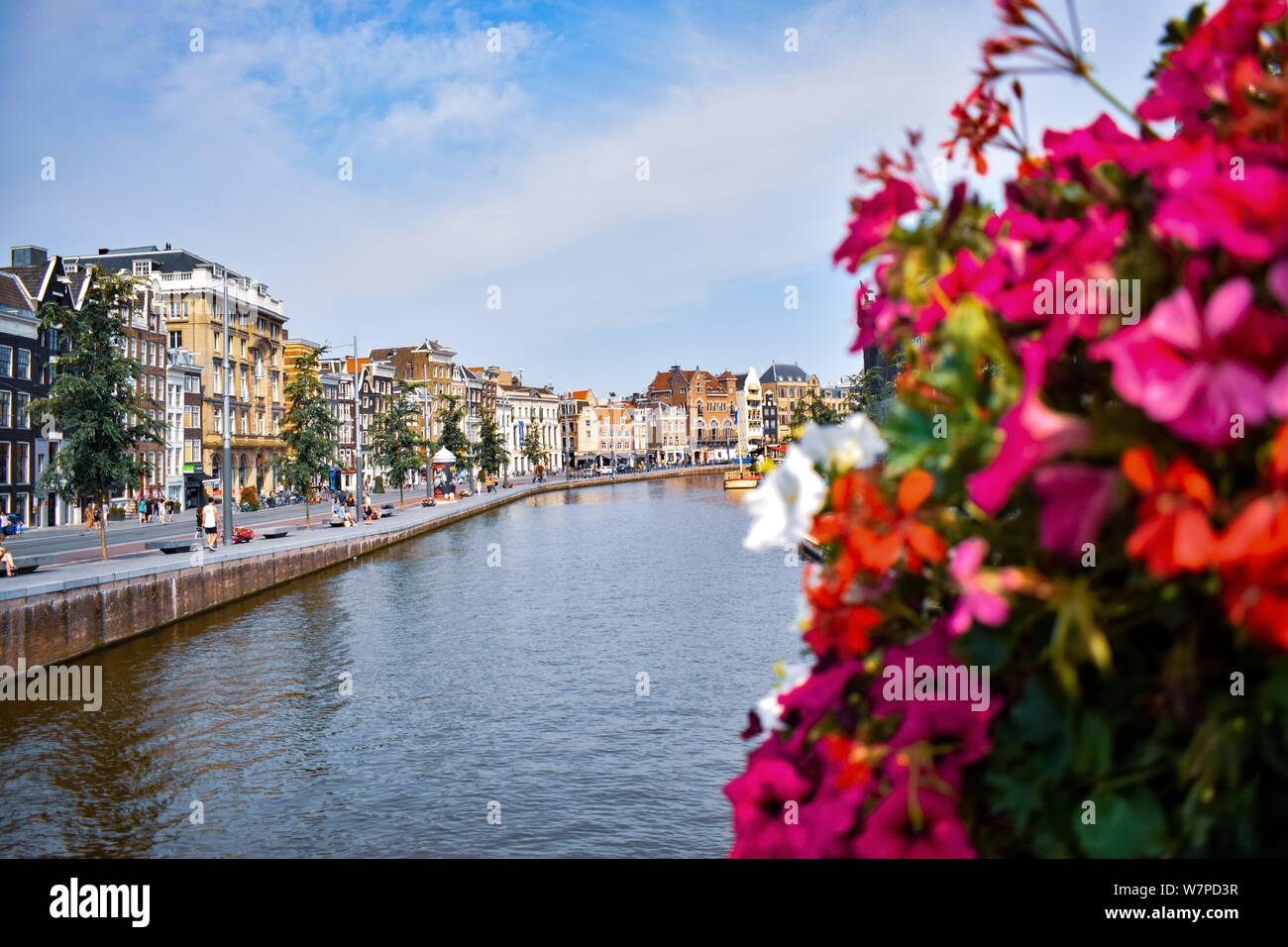 Bellissimi canali di Amsterdam con edifici e fiori Foto Stock