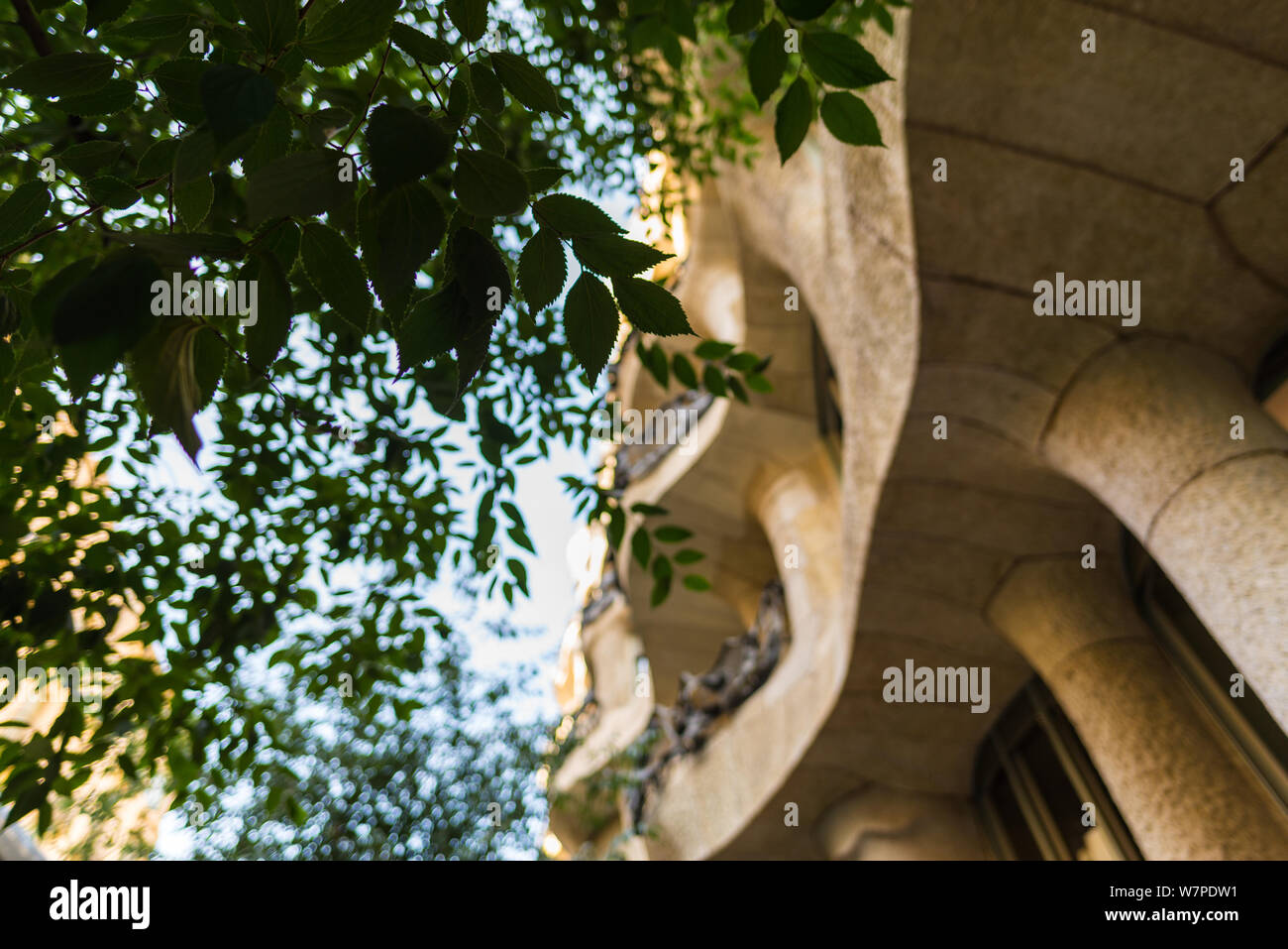 Vista esterna della Casa Mila o La Pedrera mostra alberi contro la costruzione di Foto Stock