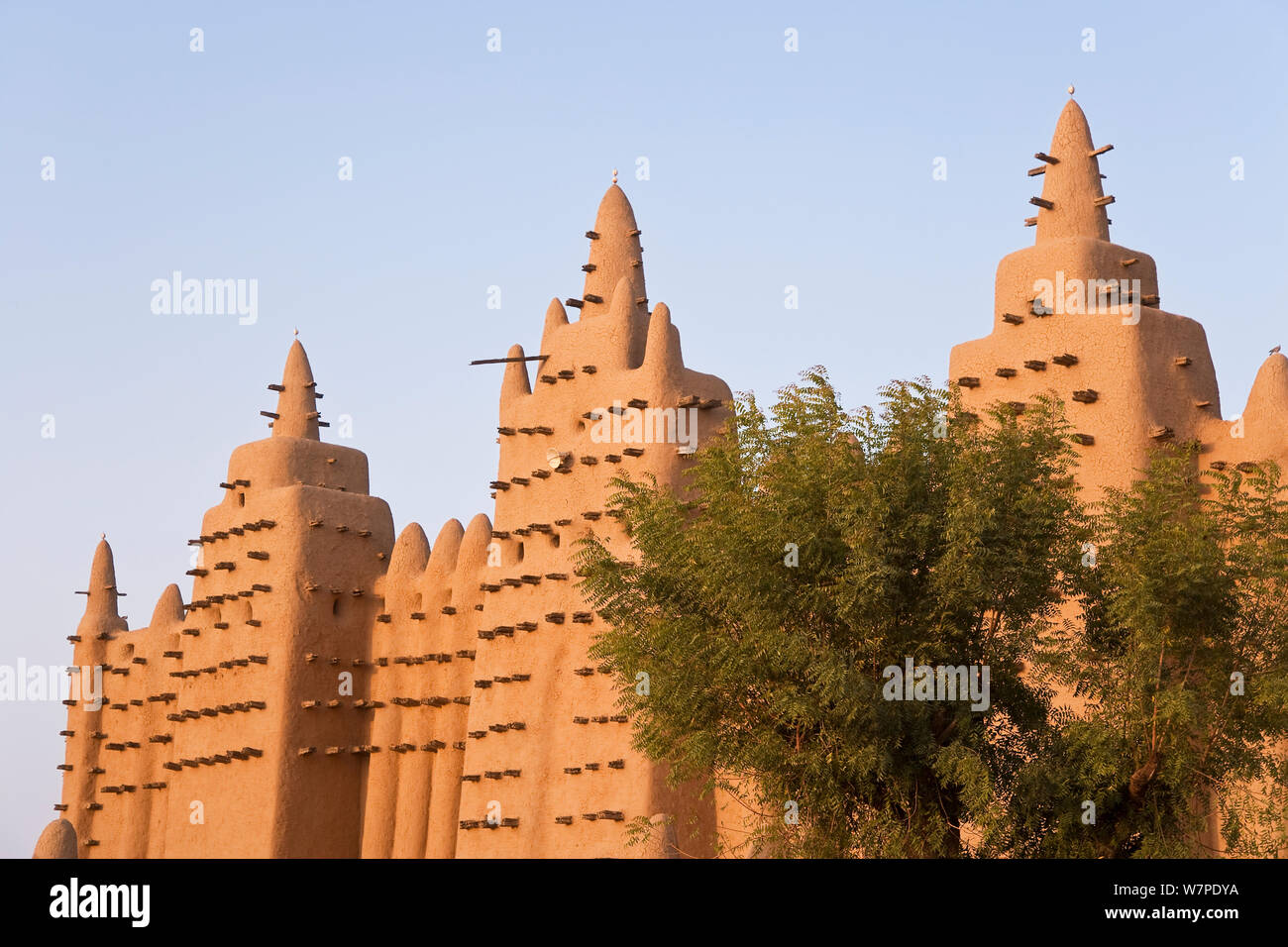 Djenne moschea, la più grande struttura di fango nel mondo, Djenne è un sito Patrimonio Mondiale dell'UNESCO, Niger Inland Delta, Mopti Regione, Mali 2006 Foto Stock