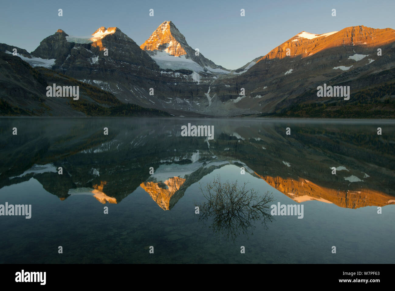 Alba su Mt. Assiniboine riflessa nel lago di Magog. Mt. Assiniboine Parco Provinciale, British Columbia, Canada, settembre 2012. Foto Stock