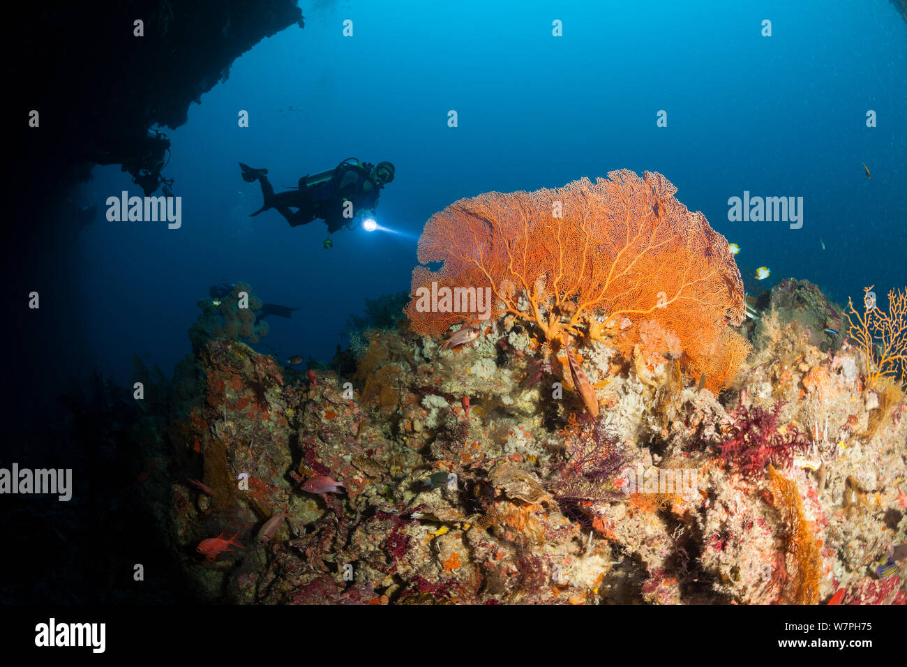 Scuba Diver all'entrata del tunnel Siaes con sovrastante gorgonia mare fan, Palau Micronesia 2010 modello rilasciato Foto Stock
