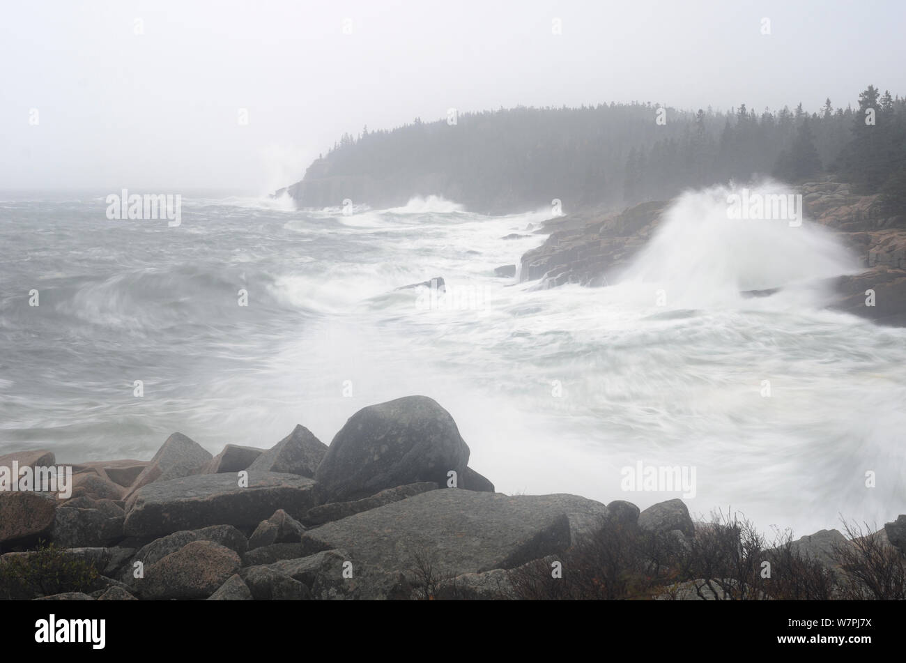 parco nazionale di acadia - 4 Uragano Sandy al Parco Nazionale di Acadia, Maine Foto stock - Alamy