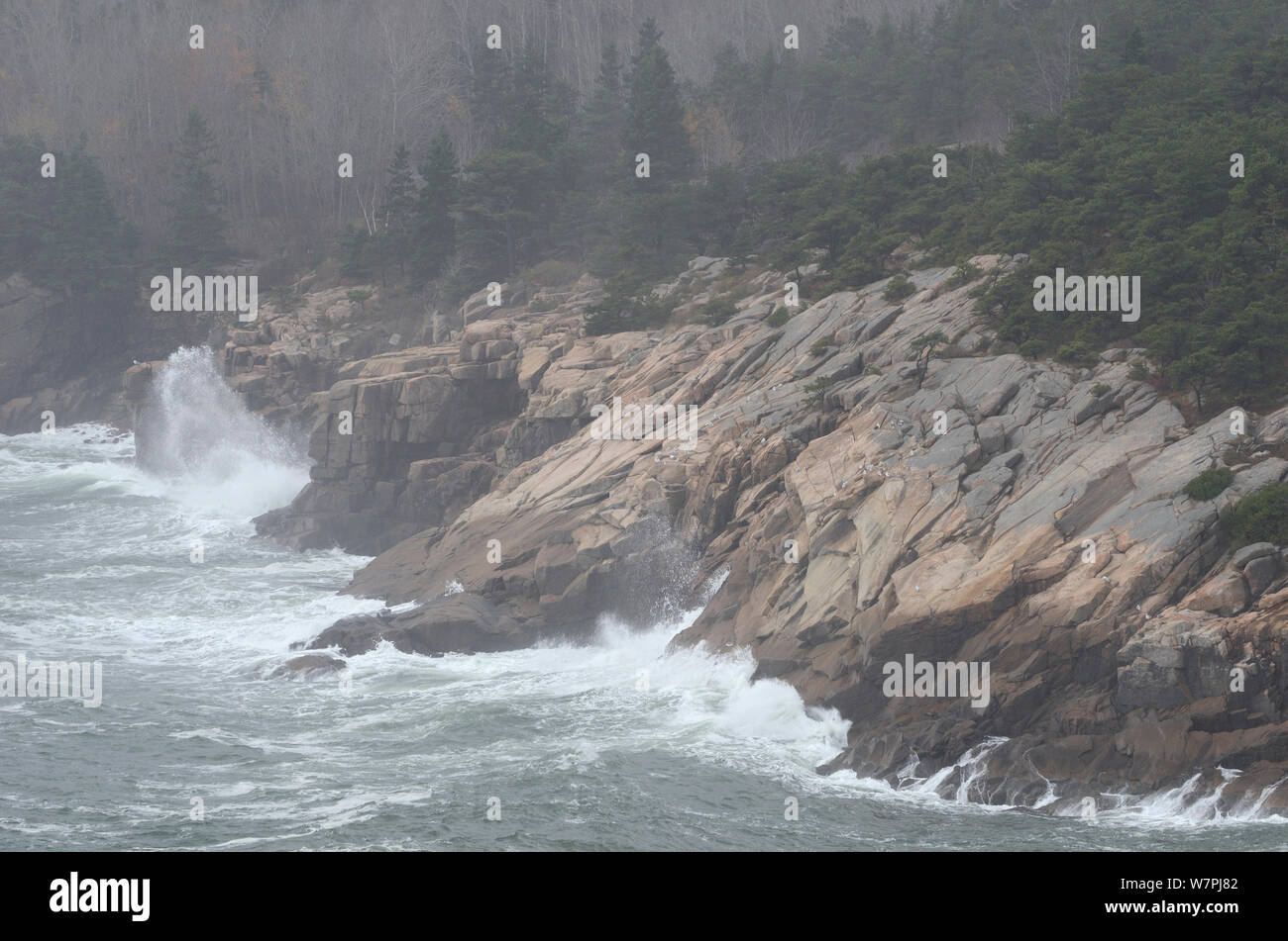 Parco Nazionale di Acadia, Maine. L'Oceano Atlantico. Post-Hurricane sabbioso di ottobre. Foto Stock