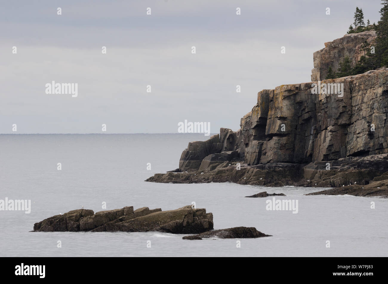 Rocce costiere e mare calmo. Parco Nazionale di Acadia, Maine, Costa Atlantica, novembre 2012. Foto Stock