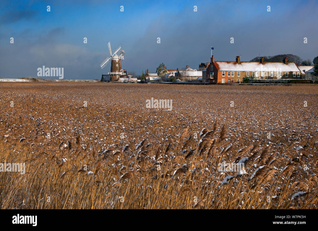 Cley Mill e reedbed con polvere di neve, Norfolk, Gennaio Foto Stock