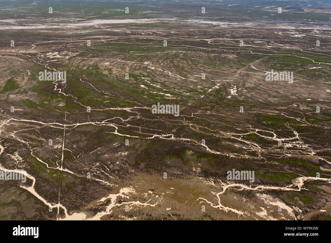 Antenna della laguna Goyder, parte del Deserto Strzelecki nel lontano nord orientale della parte Sud Australia con molti flussi che hanno trasformato un una volta asciutto il deserto in centinaia di chilometri quadrati di ricco paesaggio verde. Il South Australia, Luglio 2011 Foto Stock