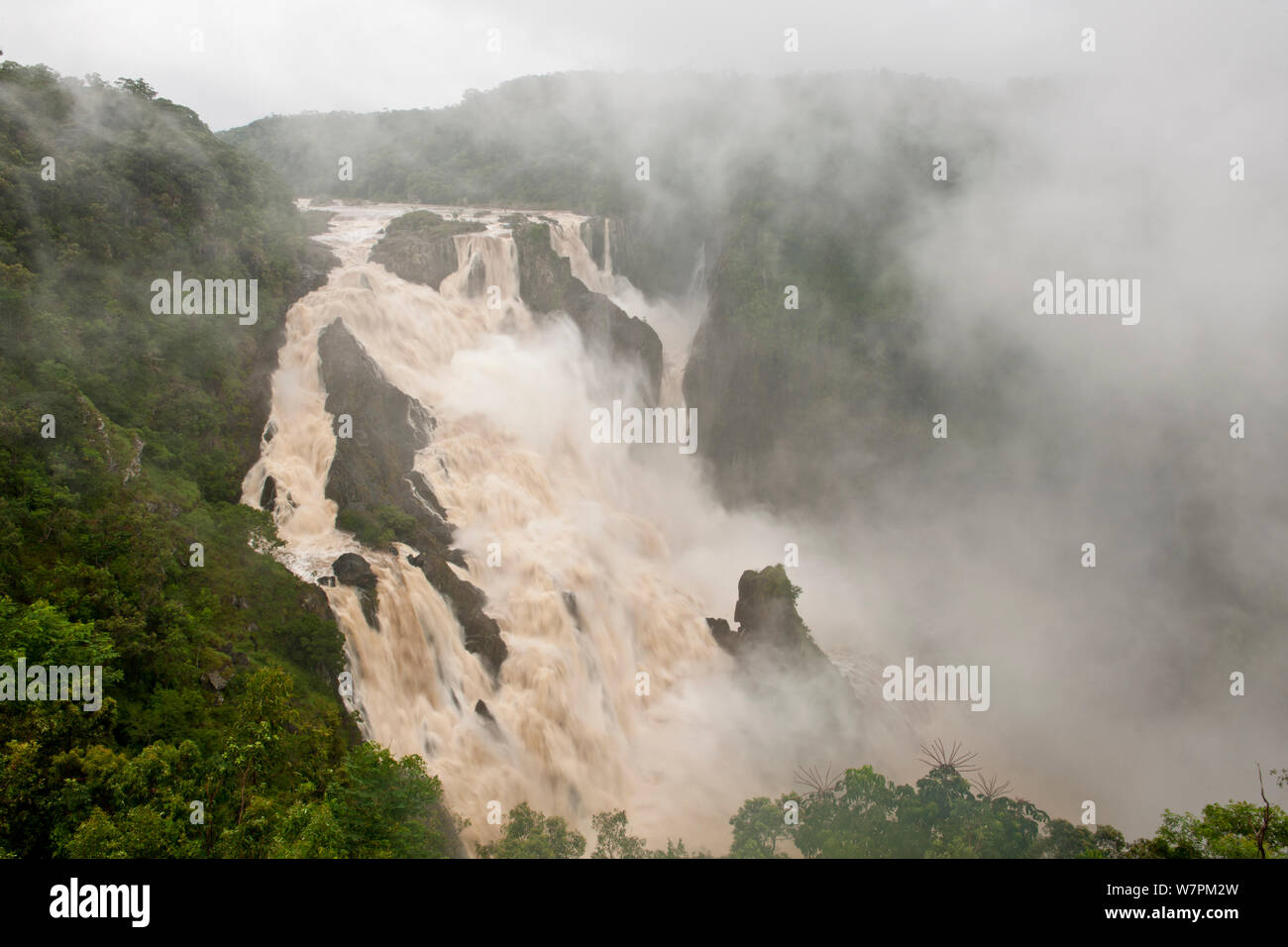 Barron cade dopo il ciclone Yasi, Queensland, Australia, Febbraio 2011 Foto Stock