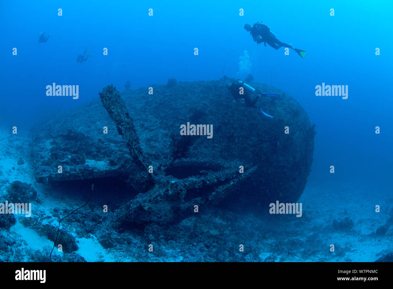 Subacqueo in immersione sul relitto di gabbiano, Gaafaru relitto, Maldive, Oceano Indiano, Novembre 2011 Foto Stock
