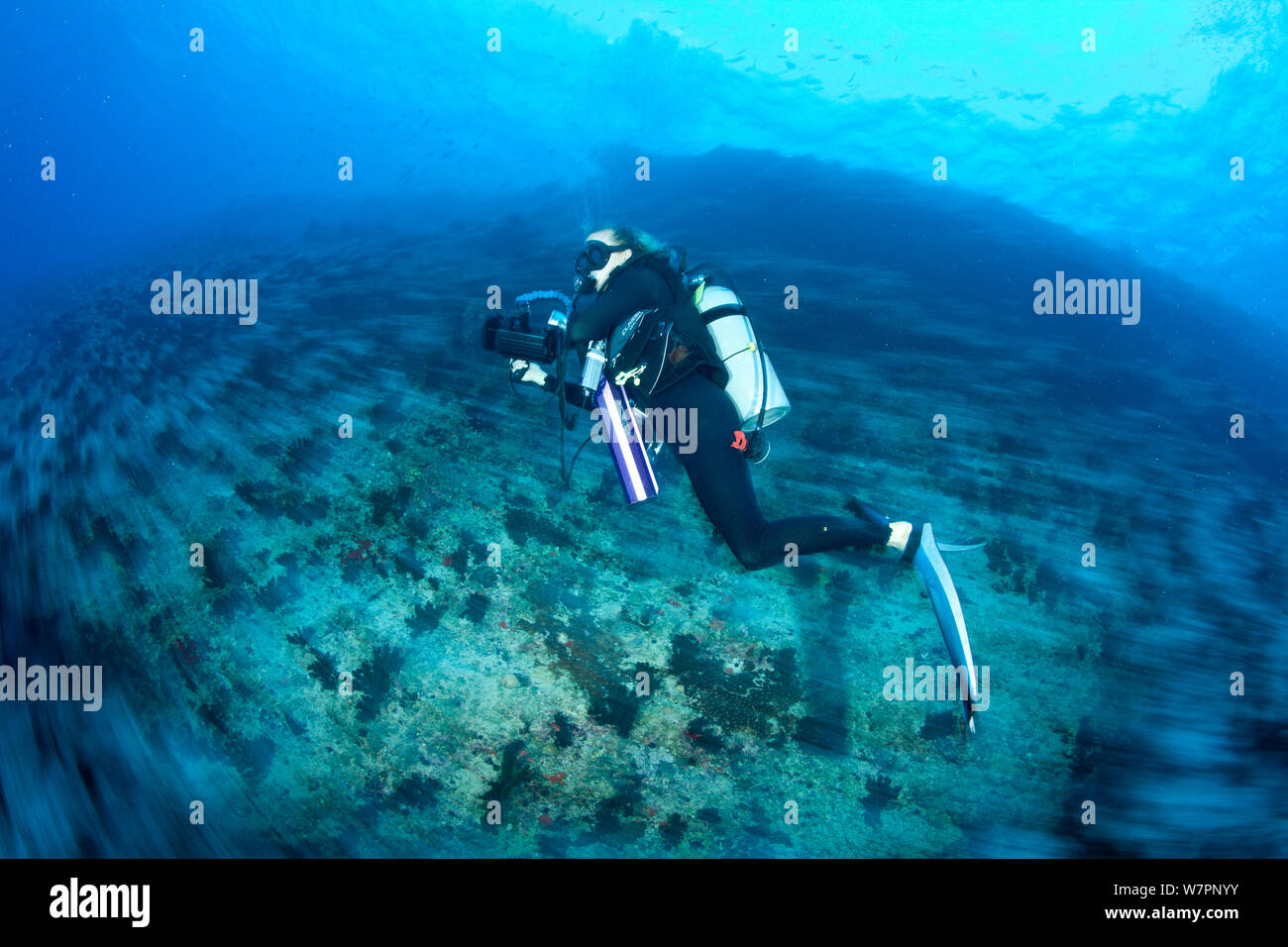 Guida Subacquea e istruttore seguendo la corrente in un pass, Maldive, Oceano Indiano, Novembre 2011 Foto Stock